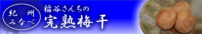【紀州・南高梅販売】稲谷さんちの完熟梅干